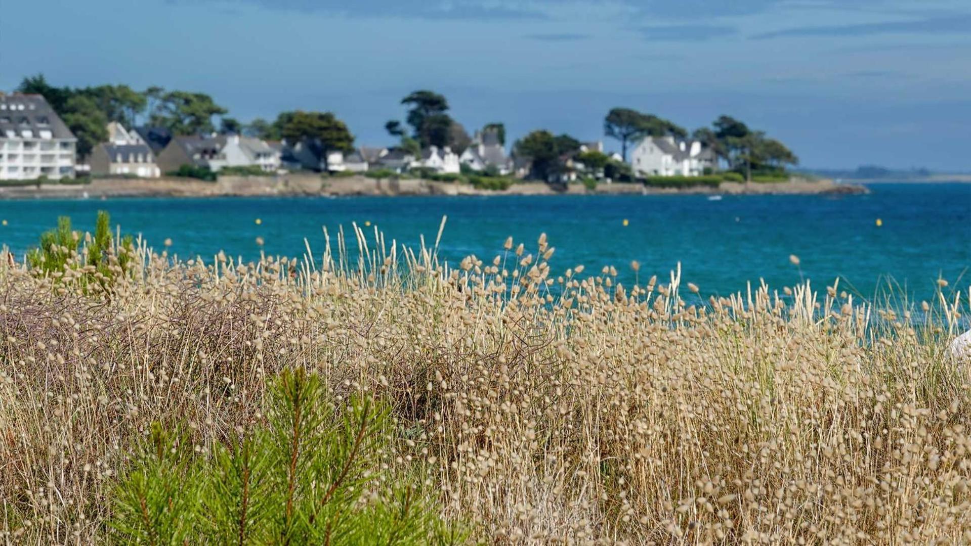 Camping Le Dolmen, Carnac, Morbihan Exteriör bild